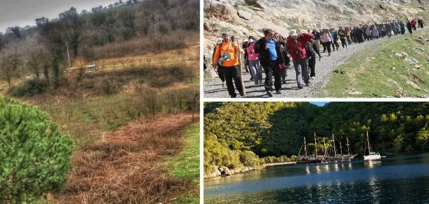 Sağlık İçin Doğa ve Bitkisel Ürünleri Tercih Etmek Gerekir