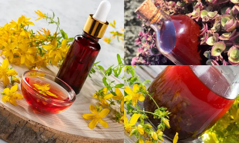 Kantaron Yağının Faydaları ve Cilt Sağlığına Etkileri