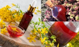 Kantaron Yağının Faydaları ve Cilt Sağlığına Etkileri