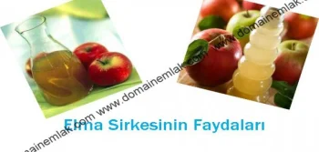 Elma Sirkesinin Faydaları