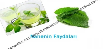 Nanenin Faydaları