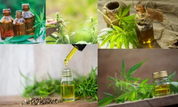 Cbd Yağının İyi Geldiği Hastalıklar