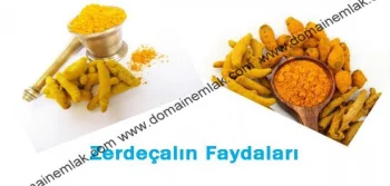 Zerdeçal’ın faydaları