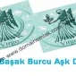 Başak Burcu 2013 Aşk Durumu
