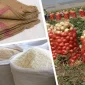Çimento ve Alçı Çuvalları İmalat Ve Sipariş Olanakları