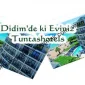 Didim'de ki Eviniz Tuntas Hotels