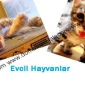 Evcil Hayvanlar ve Sağlığımız