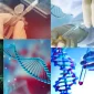 Genetik Testleri Nedir, Nelerdir?