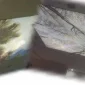 Germe Tavan Nedir, Hangi Mekanlarda Uygulanır