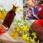 Benefits of St. John's Wort Oil and Its Effects on Skin Health
