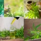 Cbd Yağının İyi Geldiği Hastalıklar