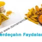 Zerdeçal’ın faydaları